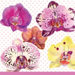 20 Serviettes en papier "Orchidées"