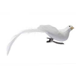 Oiseau lyre sur pince