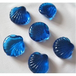 6 Coquillages  Bleu marine