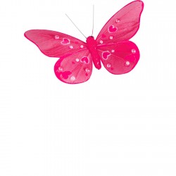 Papillon fuchsia avec...