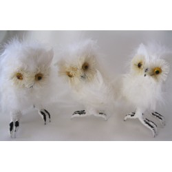 3 chouettes en plumes blanches