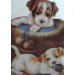 Carte double PM "Chiots"