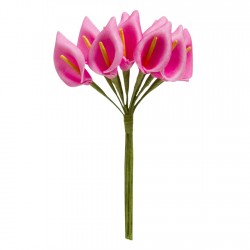 12 arums en mousse fuchsia