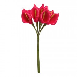 12 arums en mousse rouge