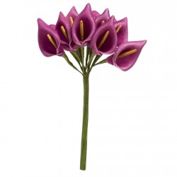 12 arums en mousse violet...