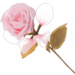 Rose en mousse couleur rose...