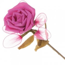 Rose fuschia avec 5...