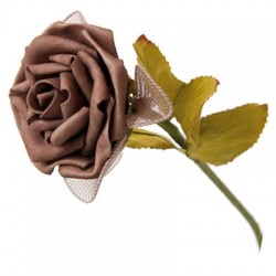 Rose marron avec 5...