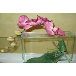 DECO ORCHIDEE ROSE